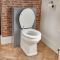 Milano Aston - Light Grey Traditional 500mm WC Unit with Richmond Toilet