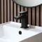 Milano Preto - Modern Mono Basin Mixer Tap - Black