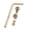 Milano Elizabeth - Traditional Exposed Bath Waste with Chain - Brushed Brass