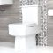 Milano Elswick - Modern Close Coupled Toilet and Pedestal Basin Set