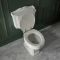 Milano Windsor - White Traditional Close Coupled Toilet with Cistern and Wooden Seat