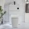 Milano Lurus - Modern Elswick Toilet and Basin and Combination Unit - 500mm x 890mm - Choice of Finish