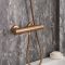 Milano Elsie - Modern Round Thermostatic Bar Shower Valve - Choice of Finish