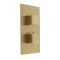 Milano Lyra - Modern 2 Outlet Thermostatic Twin Diverter Shower Valve - Brushed Brass