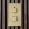 Milano Lyra - Modern 2 Outlet Thermostatic Twin Diverter Shower Valve - Brushed Brass