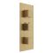 Milano Lyra - Modern 2 Outlet Thermostatic Triple Shower Valve - Brushed Brass