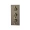 Milano Clarus - Modern 2 Outlet Triple Thermostatic Shower Valve - Aged Gold