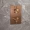 Milano Otto - Modern 2 Outlet Thermostatic Twin Diverter Shower Valve - Choice of Finish