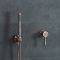Milano Amara - Manual Shower Valve with Hand Shower - Aged Bronze