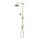 Milano Elizabeth - Traditional Grand Rigid Riser with Hand Shower - Brushed Brass