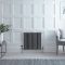 Milano Windsor - Anthracite Horizontal Traditional Column Radiator - 600mm x 605mm (Four Column)