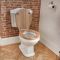 Milano Windsor - Traditional Close Coupled Toilet and Pedestal Basin Set