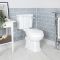 Milano Richmond - Traditional Close Coupled Toilet and Wall Hung Basin Set