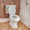 Milano Richmond - Traditional Close Coupled Toilet and Pedestal Basin Set