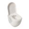 Milano Irwell - White Modern Rimless Wall Hung Toilet with Tall Wall Frame - Choice of Flush Plate