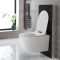 Milano Arca - Black 500mm Compact WC Unit with Overton Rimless Toilet
