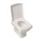 Milano Sandringham - Traditional Wall Hung Toilet with Tall Wall Frame - Choice of Flush Plate