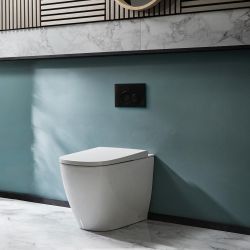 Milano Luxus - Back to Wall Japanese Bidet Toilet