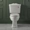 Milano Windsor - Traditional Close Coupled Toilet with Cistern - Choice of Seat and Flush Finish