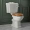 Milano Windsor - Traditional Close Coupled Toilet with Cistern - Choice of Seat and Flush Finish