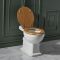 Milano Elizabeth - Traditional High Level Toilet with Cistern and Soft Close Seat - Choice of Seat