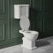 Milano Elizabeth - Traditional Low Level Toilet with Cistern and Soft Close Seat in White