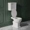 Milano Elizabeth - Traditional Low Level Toilet with Cistern and Soft Close Seat in White