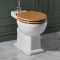 Milano Elizabeth - Traditional Low Level Toilet with Cistern and Soft Close Seat - Choice of Seat