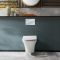 Milano Avenham - White Modern Wall Hung Toilet with Soft Close Seat