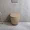 Milano Elements - Modern Wall Hung Toilet with Soft Close Seat - Choice of Finish
