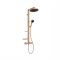 Ideal Standard Ceratherm ALU+ - Thermostatic Bar Shower Valve with 2 spray Shower Head and Multi-Function Hand Shower - Choice of Finish