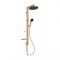 Ideal Standard Ceratwist ALU+ - Riser Rail Kit with with 2 spray Shower Head and Multi-Function Hand Shower - Choice of Finish