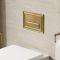 Crosswater Belgravia - Cistern Set 2 - Choice of Finish