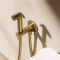 Crosswater MPRO - Luxury Concealed Integrated Douche Valve with Handset - Choice of Finish