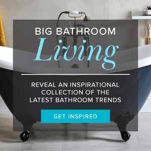 Big Bathroom Living